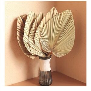 5 Pc Dried Palm Leaves 18" Large Natural Trimmed Palm Tropical Palm Leaves, NEW